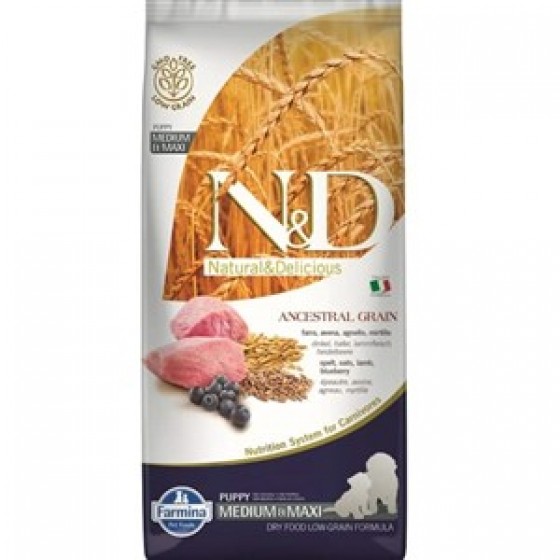 N&D Düşük Tahıllı Kuzulu Medium Maxi Yavru Köpek Maması 12 kg