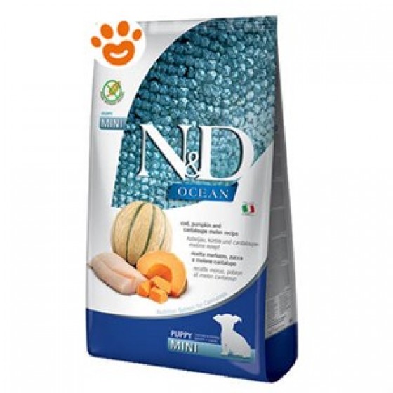 N&D Ocean Balkabaklı Morinalı Küçük Irk Yavru Köpek Maması 2.5 Kg