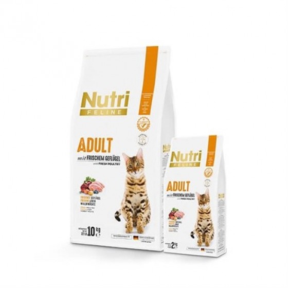 Nutri Feline Tavuklu Yetişkin Tahılsız Kedi Maması 10 kg