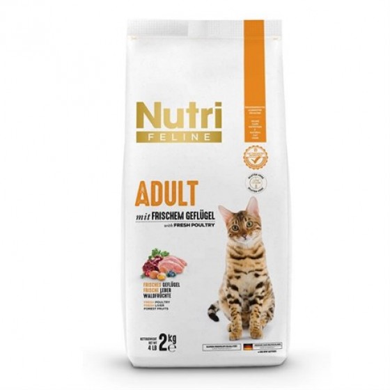 Nutri Feline Tavuklu Yetişkin Tahılsız Kedi Maması 2 kg