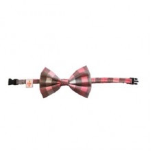 Pawstar Küçük Köpek Papyonu