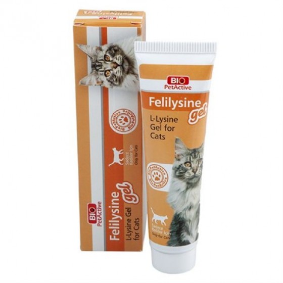 Pet Active Kediler İçin Felilysine Gel 100 Ml