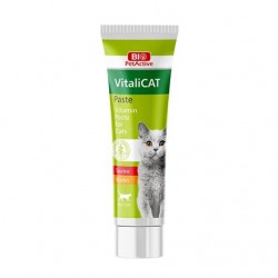 Pet Active VitaliCat Pasta Taurin ve Biotinli Kedi Ödülü 100 Ml