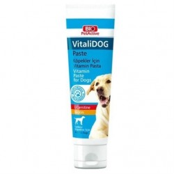 Pet Active VitaliDog L-Carnitine ve Biotinli Köpek Pastası 100 Ml Pet Active VitaliDog L-Carnitine ve Biotinli Köpek Pastası 100 Ml