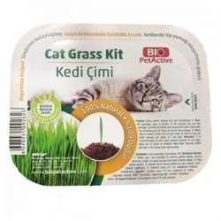 PetActive Kedi Çimi PetActive Kedi Çimi