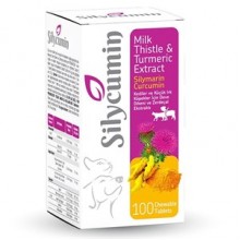PetActive Köpek Gelişimine Destek Silycumin 100 tb.