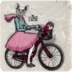Petdesign Cat Bike Doğal Taş Magnet 4 Lü Petdesign Cat Bike Doğal Taş Magnet 4 Lü