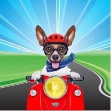 Petdesign Çılgın Köpek Mousepad ve Nihale 20x20 cm