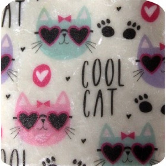 Petdesign Cool Cat Doğal Taş Bardak Altlığı 4 Lü