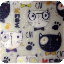 Petdesign Cool Cat Doğal Taş Bardak Altlığı 4 Lü Petdesign Cool Cat Doğal Taş Bardak Altlığı 4 Lü