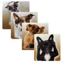 Petdesign Doggy Doğal Taş Bardak Altlığı 4 Lü