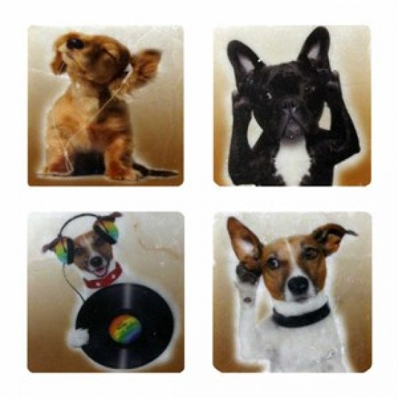 Petdesign Doggy Doğal Taş Magnet 4 Lü