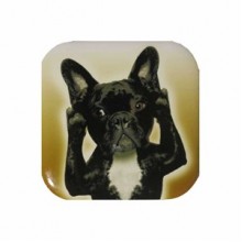 Petdesign Doggy Metal Bardak Altlığı 4 Lü