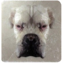 Petdesign Happy Line Dog Doğal Taş Bardak Altlığı 4 Lü