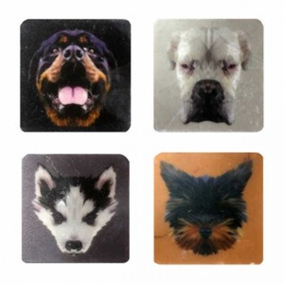 Petdesign Happy Line Dog Doğal Taş Magnet 4 Lü