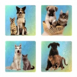 Petdesign Kedi ve Köpekler Doğal Taş Magnet 4 Lü Petdesign Kedi ve Köpekler Doğal Taş Magnet 4 Lü