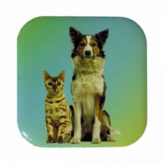 Petdesign Kedi ve Köpekler Metal Bardak Altlığı 4 Lü