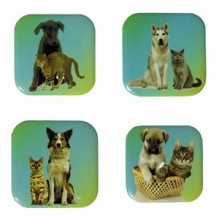 Petdesign Kedi ve Köpekler Metal Bardak Altlığı 4 Lü