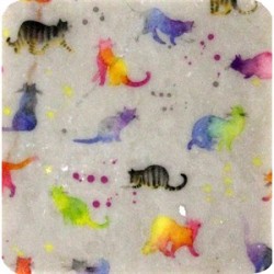 Petdesign Kittys Doğal Taş Bardak Altlığı 4 Lü Petdesign Kittys Doğal Taş Bardak Altlığı 4 Lü