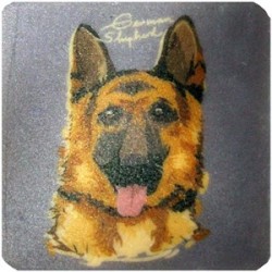 Petdesign Mutlu Köpekler Doğal Taş Bardak Altlığı 4 Lü Petdesign Mutlu Köpekler Doğal Taş Bardak Altlığı 4 Lü