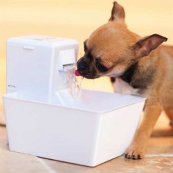 Petsafe Aqua Cube Su Pınarı 1.2 Lt Petsafe Aqua Cube Su Pınarı 1.2 Lt