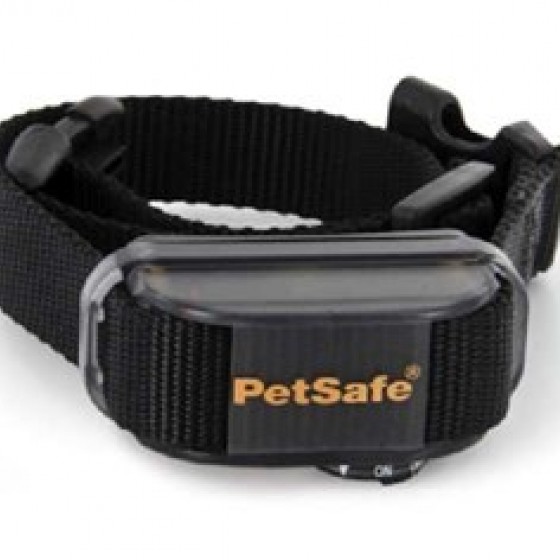 PetSafe Köpekler İçin Vibrasyonlu Eğitim Tasması