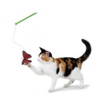 Petstages Doğal Tüylü Telli Kedi Oltası Petstages Doğal Tüylü Telli Kedi Oltası