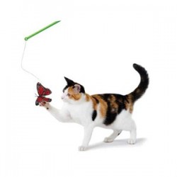 Petstages Doğal Tüylü Telli Kedi Oltası Petstages Doğal Tüylü Telli Kedi Oltası