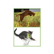 Petstages Kuyruğu Hareketli Fare Kedi Oyuncağı Petstages Kuyruğu Hareketli Fare Kedi Oyuncağı