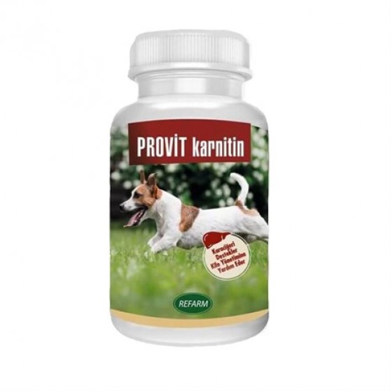 Profarm Provit Karnitin Köpek Karaciğer Destekleyici Toz 100gr