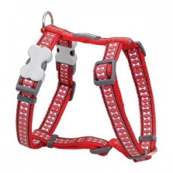 Red Dingo Fosforlu Kemik Desenli Köpek Göğüs Tasması 25 mm Kırmızı Red Dingo Fosforlu Kemik Desenli Köpek Göğüs Tasması 25 mm Kırmızı