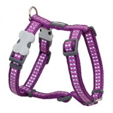 Red Dingo Fosforlu Kemik Desenli Köpek Göğüs Tasması 20 mm Mor