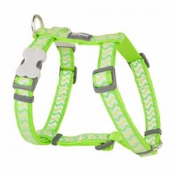 Red Dingo Fosforlu Ziggy Desenli Köpek Göğüs Tasması Yeşil 20mm