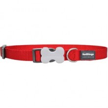 Red Dingo Klasik Köpek Boyun Tasması 25 mm Kırmızı