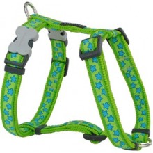 Red Dingo Stars Köpek Göğüs Tasması 20 mm Yeşil