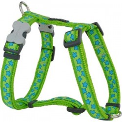 Red Dingo Stars Köpek Göğüs Tasması 25 mm Yeşil Red Dingo Stars Köpek Göğüs Tasması 25 mm Yeşil