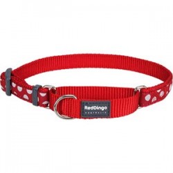 RedDingo Beyaz Benekli Kırmızı Köpek Eğitim Boyun Tasması 25 mm