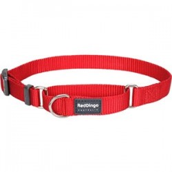 RedDingo Klasik Eğitim Köpek Boyun Tasması 25 mm Kırmızı RedDingo Klasik Eğitim Köpek Boyun Tasması 25 mm Kırmızı