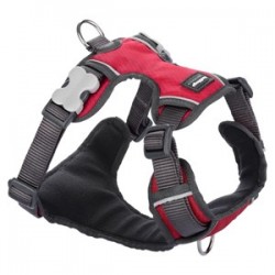 RedDingo Konfor Köpek Göğüs Tasması 20mm Kırmızı RedDingo Konfor Köpek Göğüs Tasması 20mm Kırmızı