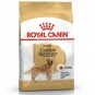 Royal Canin Adult Golden Retriever Özel Köpek Maması 12 Kg