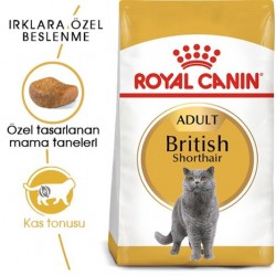 Royal Canin British Shorthair Kedi Maması 400 Gr Royal Canin British Shorthair Kedi Maması 400 Gr