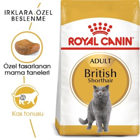 Royal Canin British Shorthair Kedi Maması 400 Gr