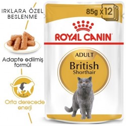 Royal Canin British Shorthair Yetişkin Pouch Kedi Konservesi 85 Gr Royal Canin British Shorthair Yetişkin Pouch Kedi Konservesi 85 Gr