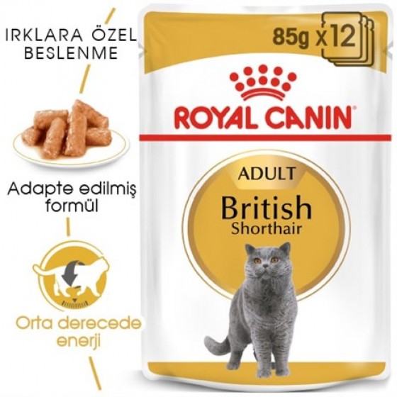 Royal Canin British Shorthair Yetişkin Pouch Kedi Konservesi 85 Gr