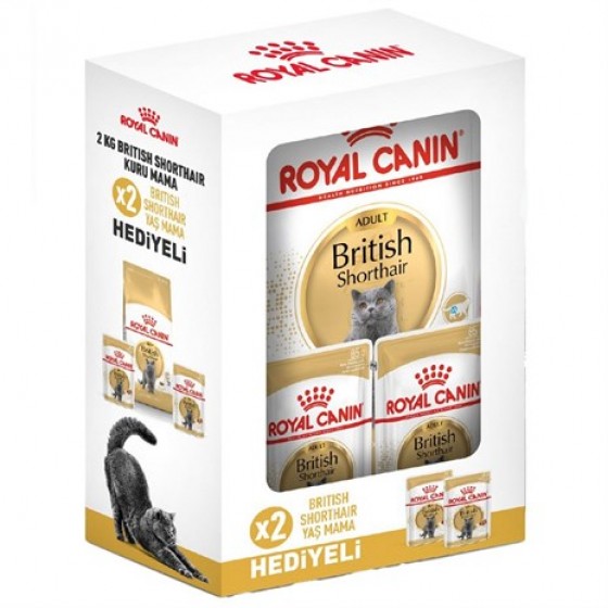 Royal Canin British Shorthair Yetişkin Kedi Maması 2 Kg