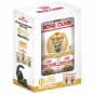 Royal Canin British Shorthair Yetişkin Kedi Maması 2 Kg