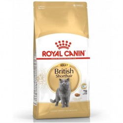 Royal Canin British Shorthair Yetişkin Kedi Maması 2 Kg Royal Canin British Shorthair Yetişkin Kedi Maması 2 Kg