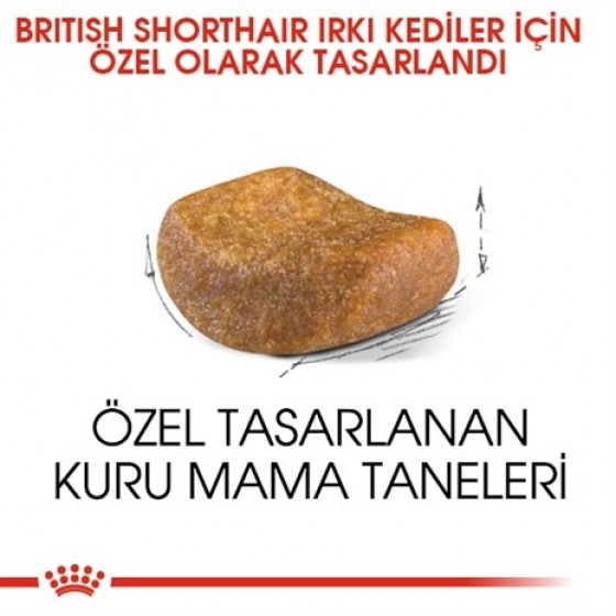 Royal Canin British Shorthair Yetişkin Kedi Maması 2 Kg