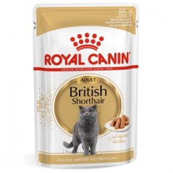 Royal Canin British Shorthair Yetişkin Pouch Kedi Konservesi 85 Gr Royal Canin British Shorthair Yetişkin Pouch Kedi Konservesi 85 Gr