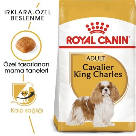 Royal Canin Cavalier King Charles 27 Yetişkin Köpek Maması 1,5 Kg